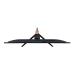 Aspire C22-1600 ALL-IN-ONE