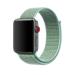 Apple Watch 42mm Marine Green Sport Loop