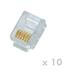 DATACOM Plug UTP CAT3 6p6c- RJ12 lanko (10ks)