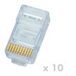 DATACOM Plug UTP CAT5E 10p10c- RJ50 lanko (10ks)