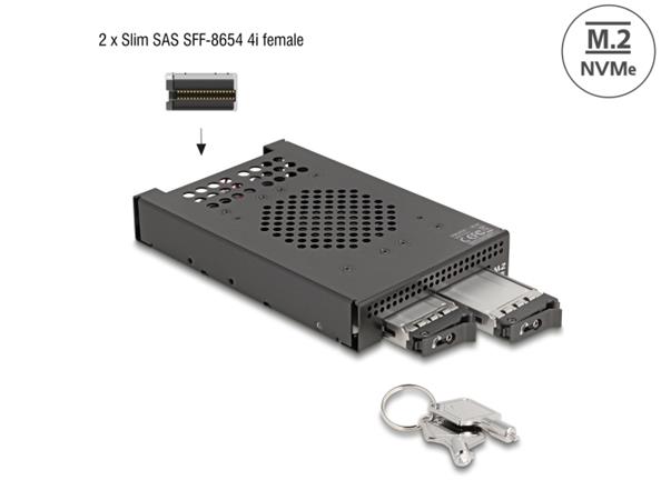 Delock 3.5” Mobilní rack pro 2 x SSD M.2 NVMe s konektorem Slim SAS SFF-8654