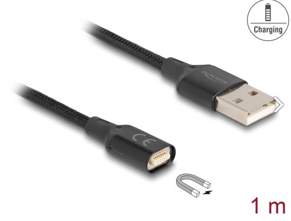 Delock Magnetický USB nabíjecí kabel černá 1 m