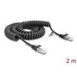 Delock Vinutý kabel rozhraní RJ50, ze zástrčky na zástrčku, 2 m, černý