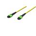 Digitus Fiber Optic Patchcord, MPO to MPO, Female OS2, Singlemode 09/125 µ, 15m, Method A Jacket: yellow, Housing: green