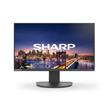 Sharp 27" EA271F IPS/1920x1080/6ms/250cd/D-sub/DVI/DP/HDMI/USB/Repro/height/černý