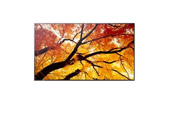 Sharp 50" MultiSync M502- 24/7, 550 cd, VA LED, 3840x2160, 16:9, 8ms, 8000:1, DP, 2x HDMI, USB