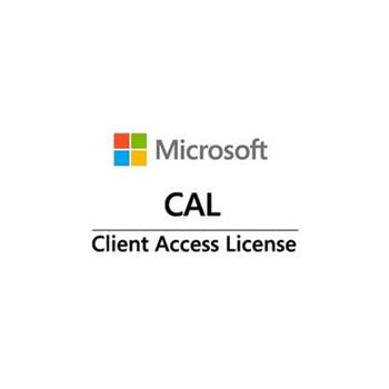 Win Server CAL 2019 (10 Device)